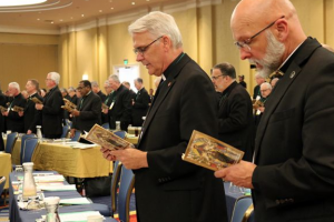What’s in (and isn’t in) the bishops’ draft document on the Eucharist?