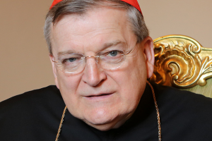 Cardinal Raymond Burke:  Discipline and Doctrine: Law in the Service of Truth and Love