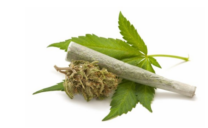 Medical Science: What Politicians, the Media and For-Profit Marijuana Advocates Do Not Tell You About Pot Use