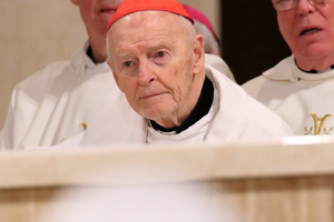 The McCarrick Report: What to know