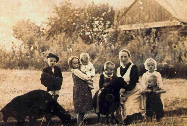 Polish Catholic family, killed by Nazis for helping Jews, on path to ...